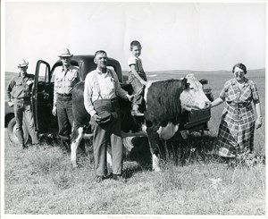 Image description is not available for PHO-4-W689-340